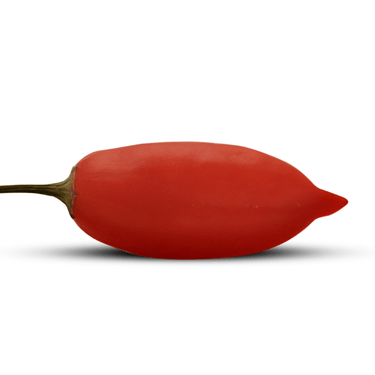 Aji Omnicolor Pepper Seeds - The Pepper Pantry (Formerly Marie Sharp's)